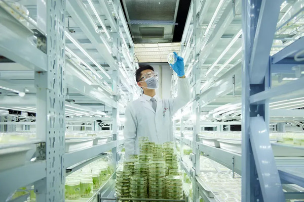 1768894583268018608.png 图片1.png